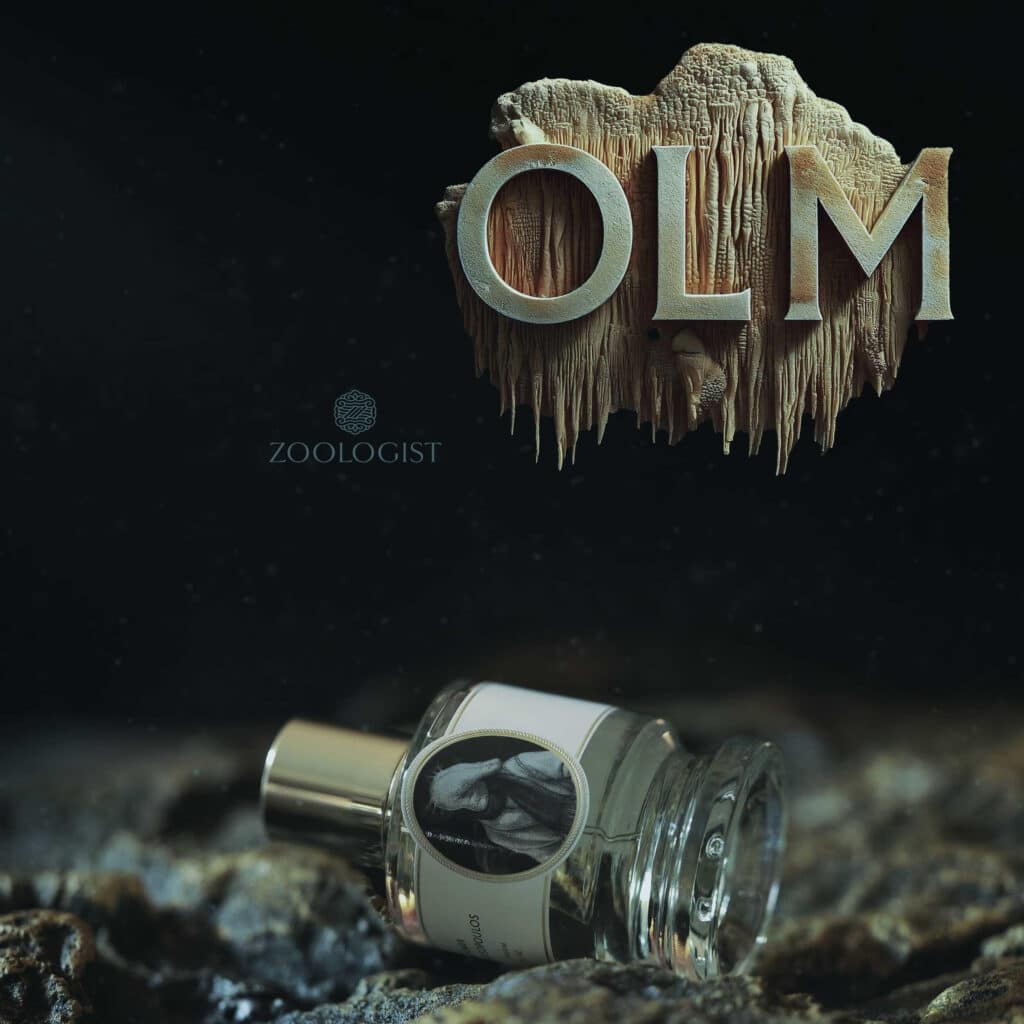 Zoologist Quirks It Up With Olm